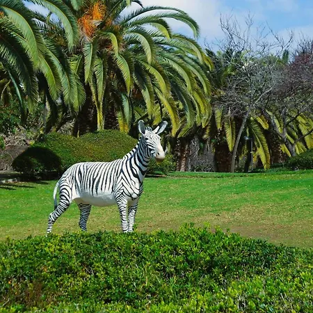 Piscinas Con Parque Acuatico Minerva Nature Boutique